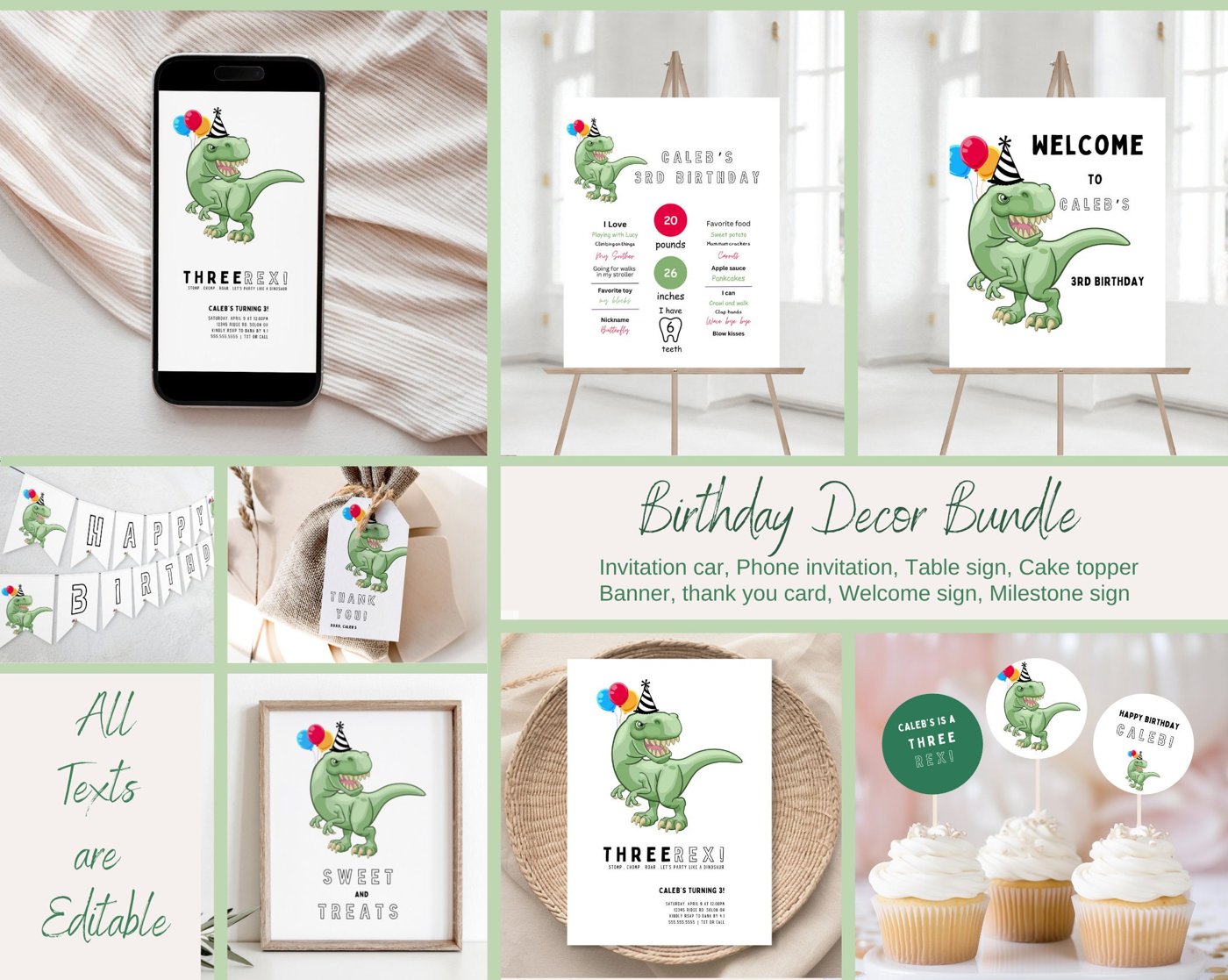 Editable Bundle of Three Rex Dinosaur Birthday Invitation Modern Tyrannosaurus Dinosaur Invitation Editable Digital Invi