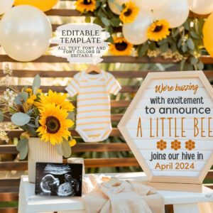 BEE theme Digital Pregnancy Announcement / Pregnancy Reveal / Social Media / Gender Neutral / Facebook / Instagram / Boh
