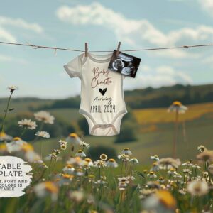 BOHO Digital Pregnancy Announcement / Pregnancy Reveal / Social Media / Gender Neutral / Facebook / Instagram / Boho / P