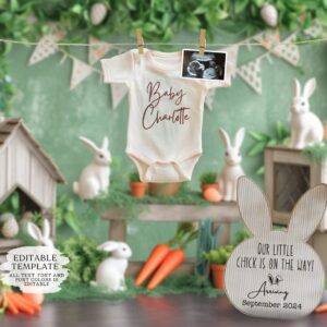 Easter Pregnancy Announcement Digital, Spring Baby Announcement, Gender Neutral Template, April Boho Reveal, Easter is E