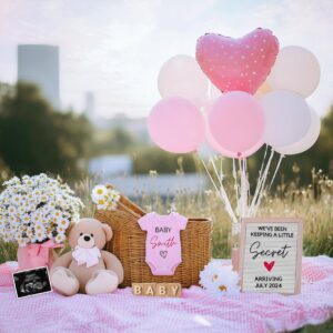 Digital Little Sister Pregnancy Reveal | Editable Pink Pregnancy Announcement for Social Media | Baby Sister Gender Reve