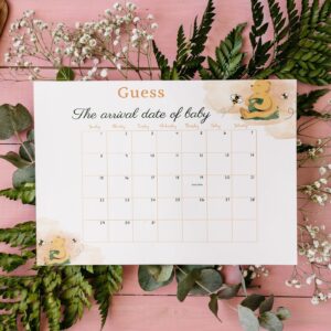 Editable A Little Hunny Winnie the Pooh Baby Shower Due Date Calendar, Guess Birth Date, Guess Baby Birthday Calendar, B